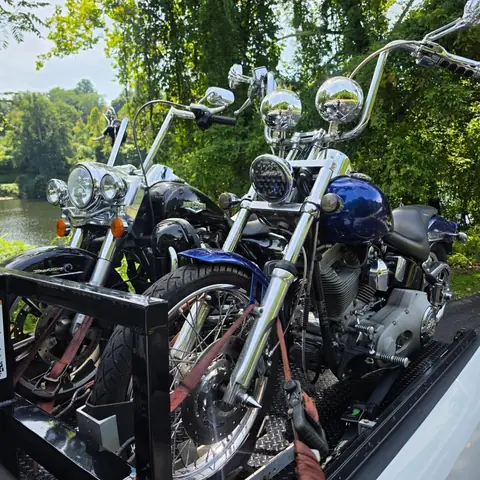 Two Harley-Davidson motorcycles, one blue and one black, side by side on the carrier